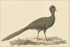 Penelope, on the ground, 1759-1842. Creator: Pieter Bartholomeusz. Barbiers