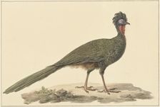 Penelope, on the ground, 1759-1842. Creator: Pieter Bartholomeusz. Barbiers