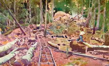 Penetrating the Amazonian Forest - Madeira-Mamoré Railway 1914