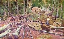 Penetrating the Amazonian Forest - Madeira-Mamoré Railway 1914