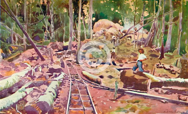 'Penetrating the Amazonian Forest - Madeira-Mamoré Railway', 1914. Artist: Unknown.
