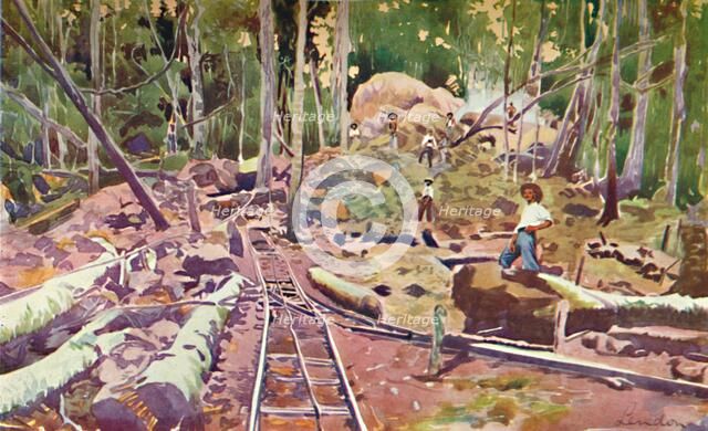 'Penetrating the Amazonian Forest - Madeira-Mamoré Railway', 1914. Artist: Unknown.