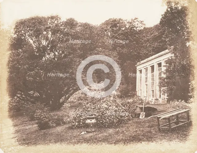 Penrice Garden, 1853-56. Creator: John Dillwyn Llewelyn.