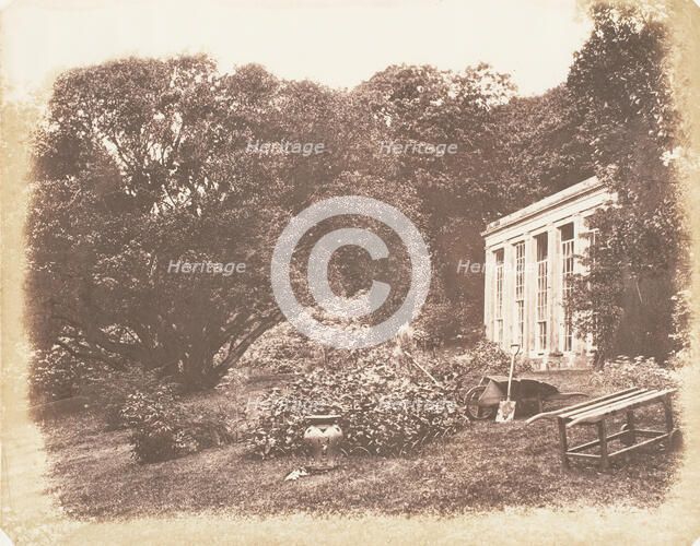 Penrice Garden, 1853-56. Creator: John Dillwyn Llewelyn.