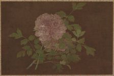 Peonies, 15th century. Creator: Unknown