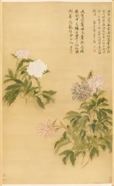 Peonies, 1685. Creator: Yun Shouping (Chinese, 1633-1690)
