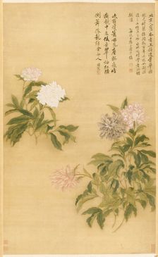 Peonies, 1685. Creator: Yun Shouping (Chinese, 1633-1690)