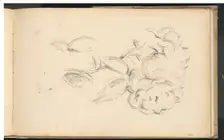 Peonies, 1890/1893. Creator: Paul Cezanne