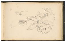 Peonies, 1890/1893. Creator: Paul Cezanne