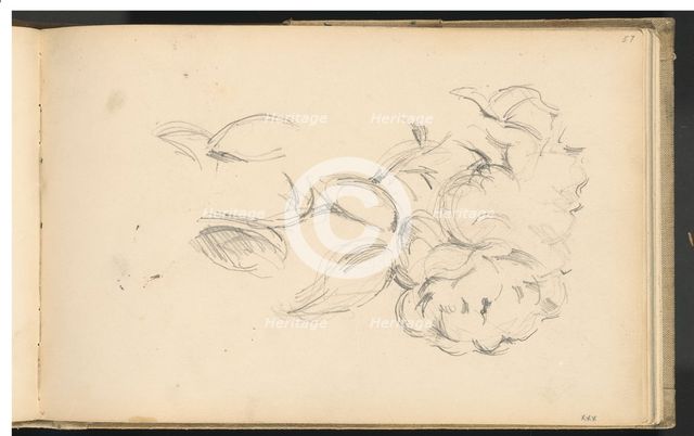 Peonies, 1890/1893. Creator: Paul Cezanne.