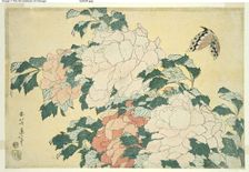 Peonies and Butterfly, from an untitled series of large flowers, Japan, c. 1833/34. Creator: Hokusai