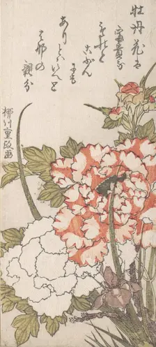 Peonies and Iris, 18th-19th century. Creator: Yanagawa Shigemasa
