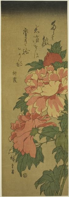 Peonies, c. 1843/47. Creator: Ando Hiroshige