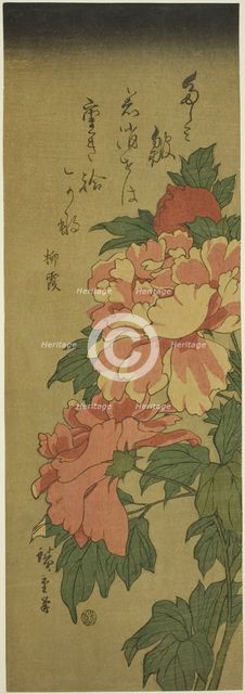 Peonies, c. 1843/47. Creator: Ando Hiroshige.