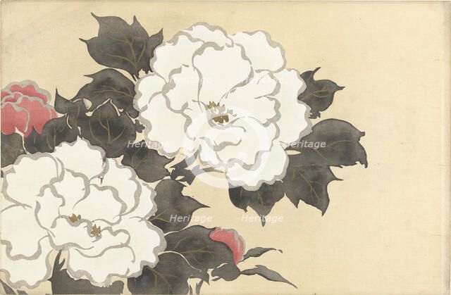 Peonies (Fukamigusa). From the series "A World of Things (Momoyogusa)", 1909-1910. Creator: Sekka, Kamisaka (1866-1942).