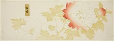 Peonies, Japan, n.d. Creator: Kitagawa Utamaro
