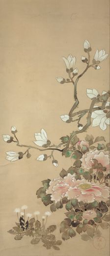 Peonies, Magnolia, and Dandelions, 18th century. Creator: School of Tawaraya Sôtatsu