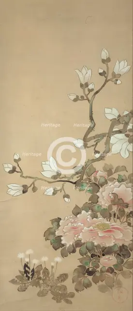 Peonies, Magnolia, and Dandelions, 18th century. Creator: School of Tawaraya Sôtatsu.