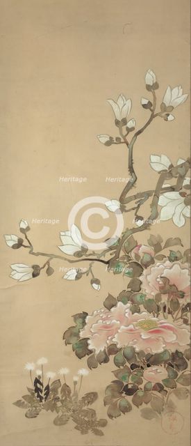 Peonies, Magnolia, and Dandelions, 18th century. Creator: School of Tawaraya Sôtatsu.