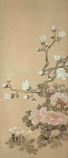 Peonies, Magnolia, and Dandelions, 18th century. Creator: School of Tawaraya Sôtatsu