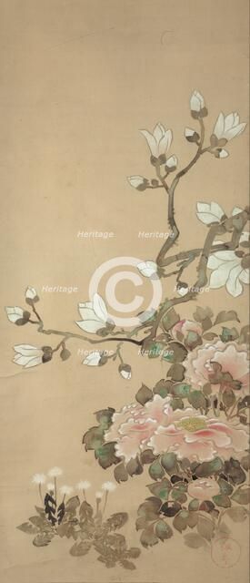 Peonies, Magnolia, and Dandelions, 18th century. Creator: School of Tawaraya Sôtatsu.