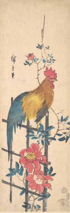 Peony and Cock, 1854., 1854. Creator: Ando Hiroshige
