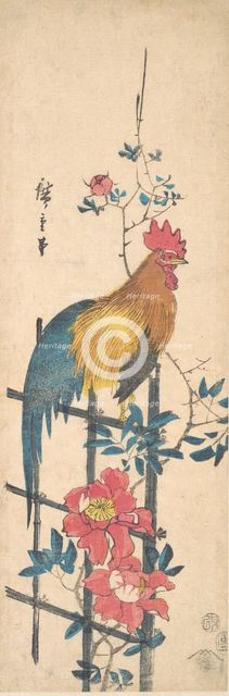 Peony and Cock, 1854., 1854. Creator: Ando Hiroshige.