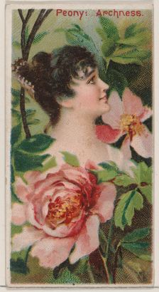 Peony: Archness, from the series Floral Beauties and Language of Flowers (N75) for Duke br..., 1892. Creator: Donaldson Brothers