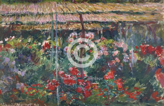 Peony Garden, 1887. Artist: Monet, Claude (1840-1926)