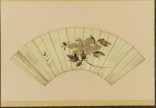 Peony, early 19th century. Creator: Unknown
