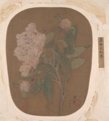 Peony Flower and Leaves. Creator: Unknown