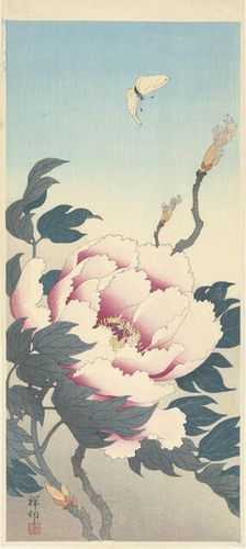 Peony with butterfly, 1925-1936. Creator: Ohara, Koson (1877-1945)