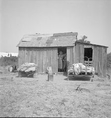 People living in miserable poverty, Elm Grove, Oklahoma County, Oklahoma, 1936. Creator: Dorothea Lange