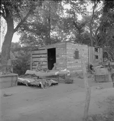 People living in miserable poverty, Elm Grove, Oklahoma County, Oklahoma, 1936. Creator: Dorothea Lange