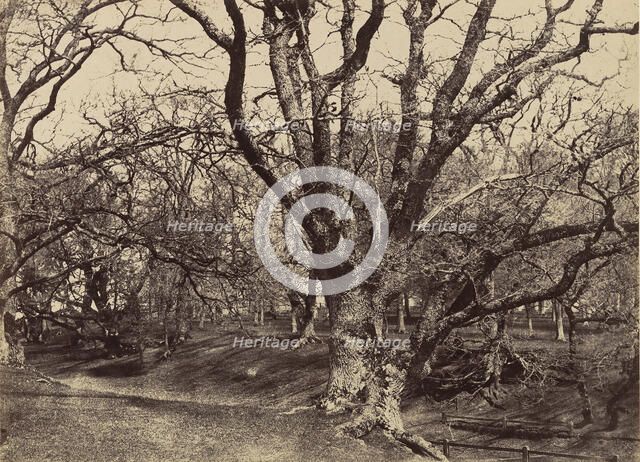 Pepperharrow Park, Surrey, 1852-54. Creator: Benjamin Brecknell Turner.