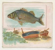 Perch, from Fish from American Waters series (N39) for Allen & Ginter Cigarettes, 1889. Creator: Allen & Ginter