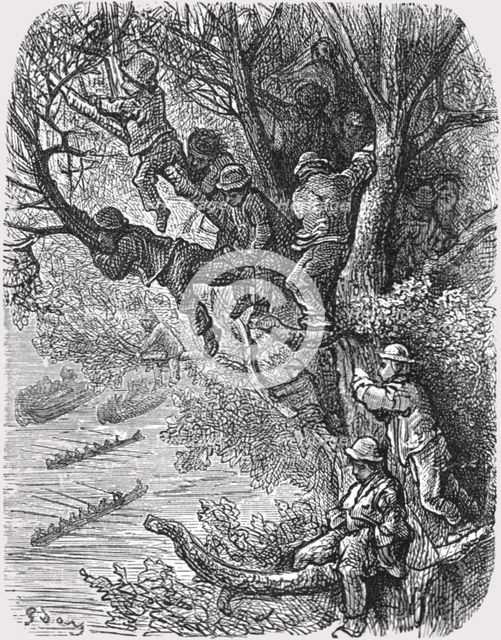'Perched in the Trees', 1872.  Creator: Gustave Doré.