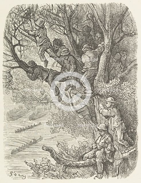 Perched in the trees, 1872.  Creator: Unknown.