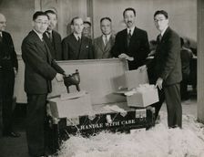 Percival David, Exhibition Director; Zheng Tianxin (Dr F.T. Cheng), Special Commissioner...1935. Creator: Topical Press Agency