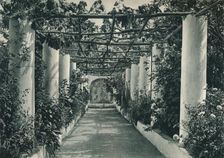 Pergola in a vineyard, Capri, Italy, 1927. Artist: Eugen Poppel