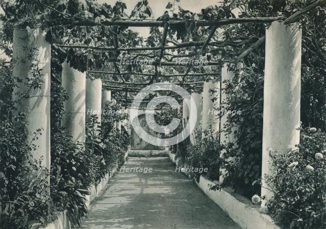 Pergola in a vineyard, Capri, Italy, 1927. Artist: Eugen Poppel.