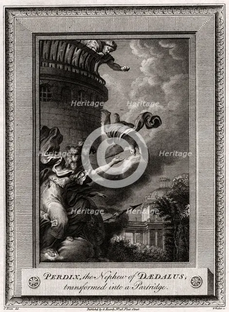 'Perdix, the Nephew of Daedalus, transformed into a Partridge', 1774. Artist: W Walker