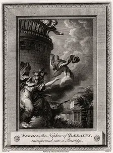 Perdix, the Nephew of Daedalus, transformed into a Partridge 1774. Artist: W Walker