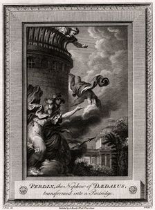 Perdix, the Nephew of Daedalus, transformed into a Partridge 1774. Artist: W Walker