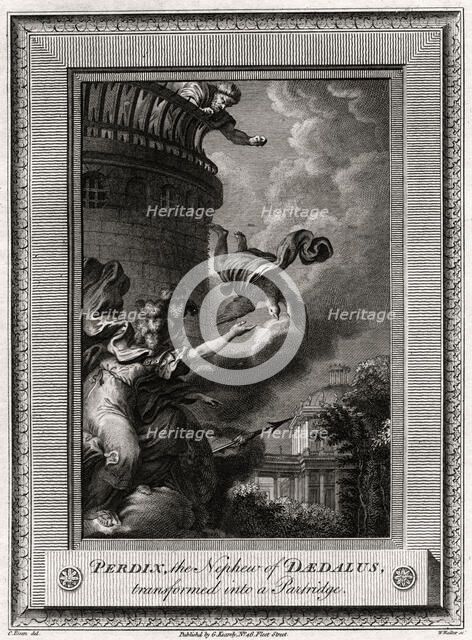 'Perdix, the Nephew of Daedalus, transformed into a Partridge', 1774. Artist: W Walker