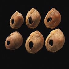 Perforated shell beads from Blombos Cave, South Africa. The oldest artifact of mankind, 70th millenn