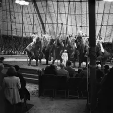Performing elephants of Bertram Mills Circus, Norwich, Norfolk, 1948. Artist: Hallam Ashley