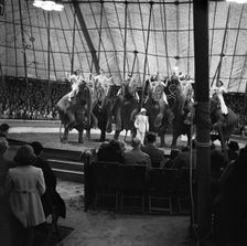 Performing elephants of Bertram Mills Circus, Norwich, Norfolk, 1948. Artist: Hallam Ashley