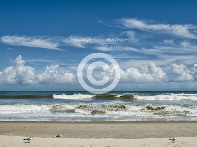 Perfect Day. Creator: Eve Turek.