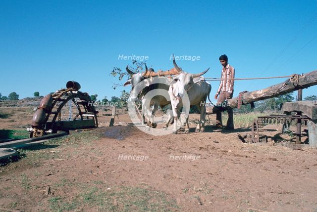 Persian water wheel, Rajasthan, India.  Creator: Vivienne Sharp.